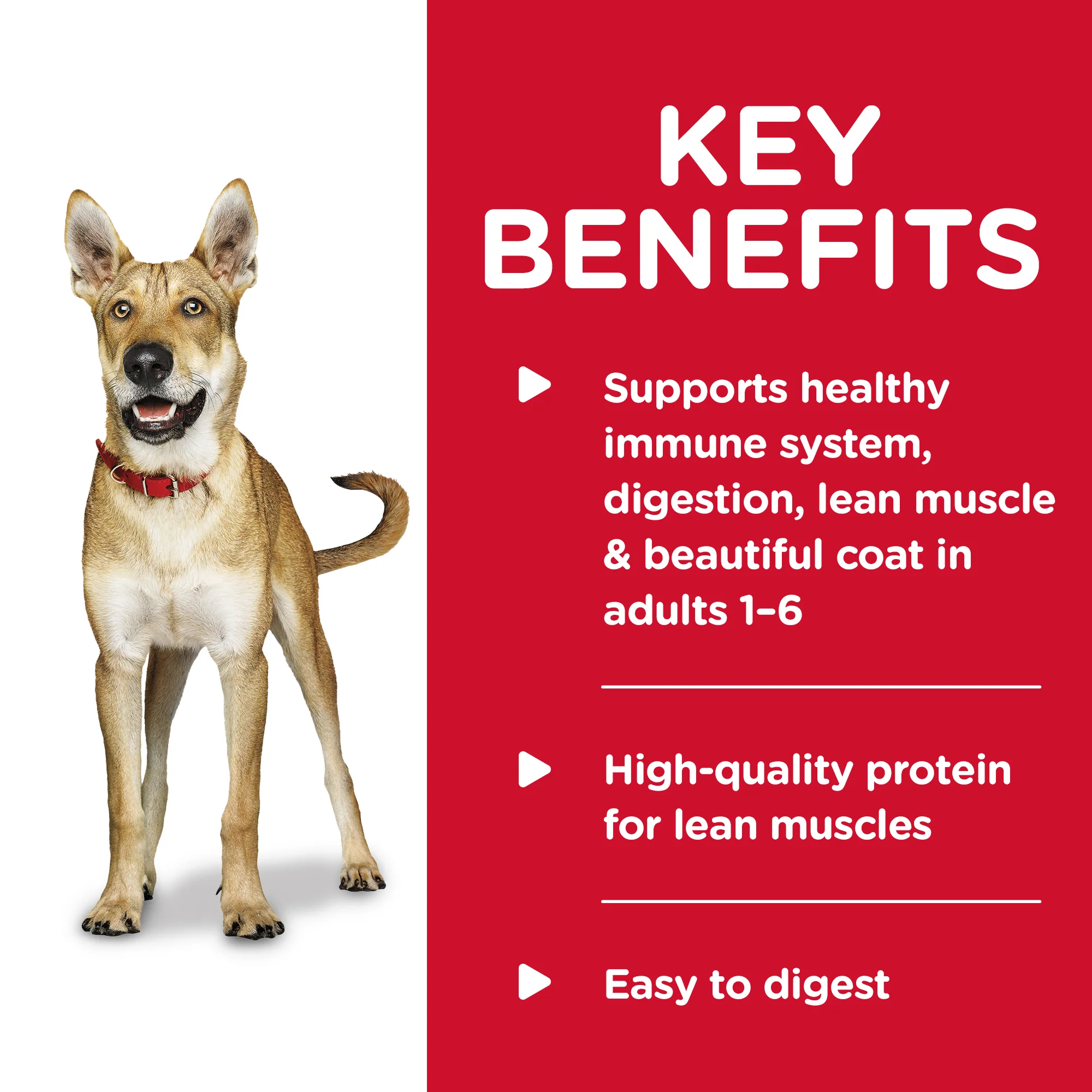 Hills Science Diet Adult Savory Stew Chicken Wet Dog Food - Image 3