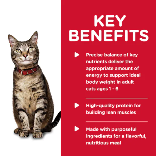 Hills Science Diet Adult Tender Tuna Canned Wet Cat Food - Image 3