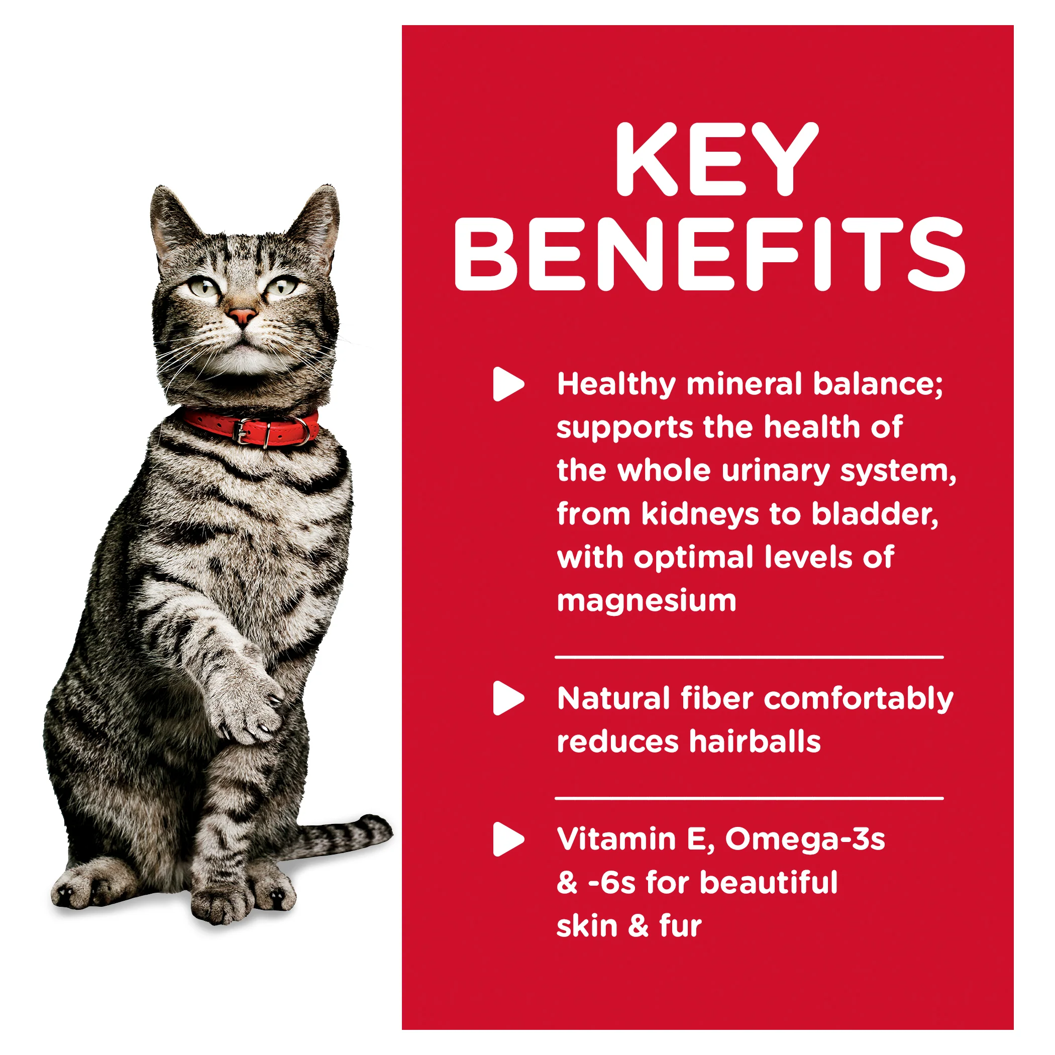 Hills Science Diet Adult Urinary Health & Hairball Control Ocean Fish Pouch Wet Cat Food - Image 3