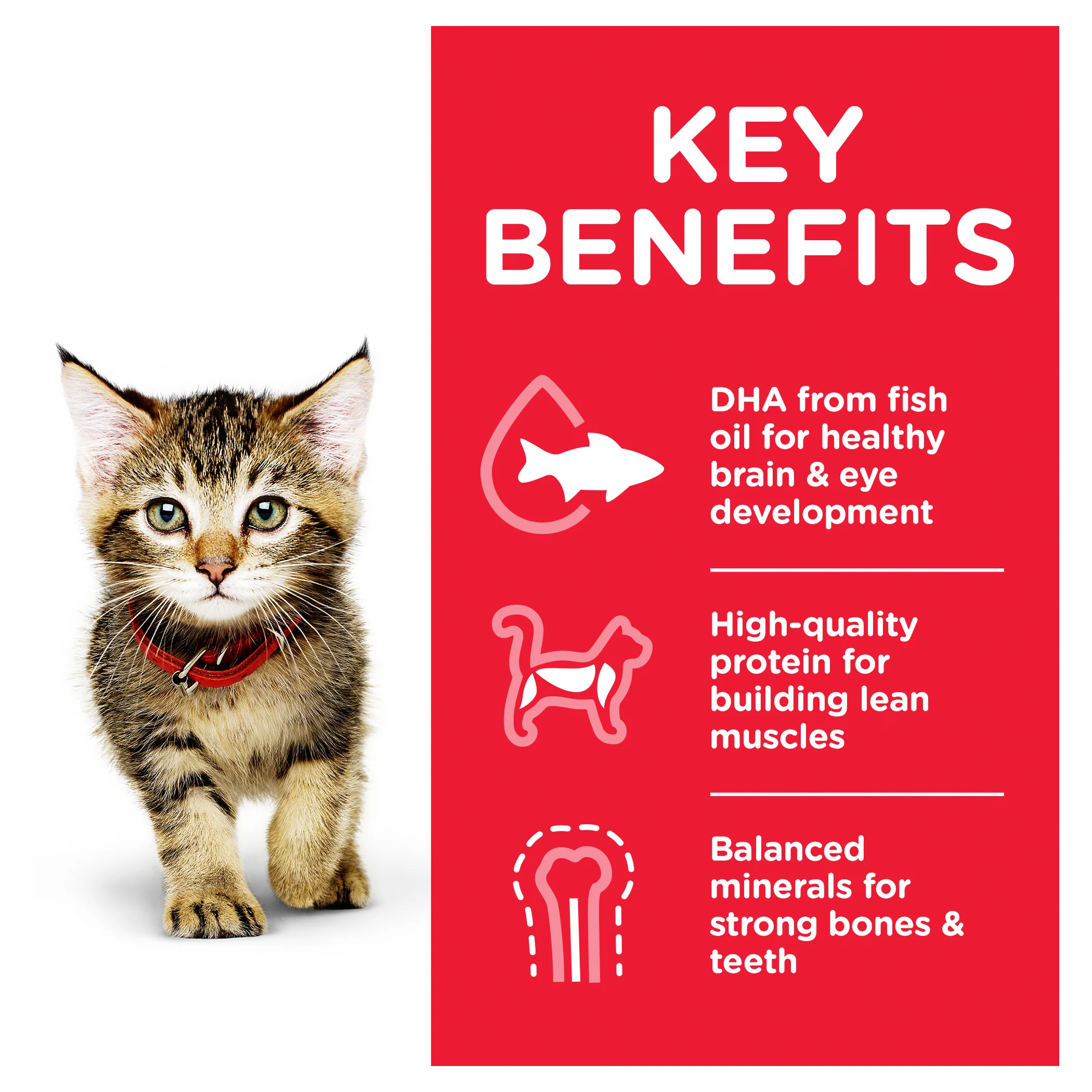 Hills Science Diet Kitten Chicken Pouch Wet Cat Food - Image 3