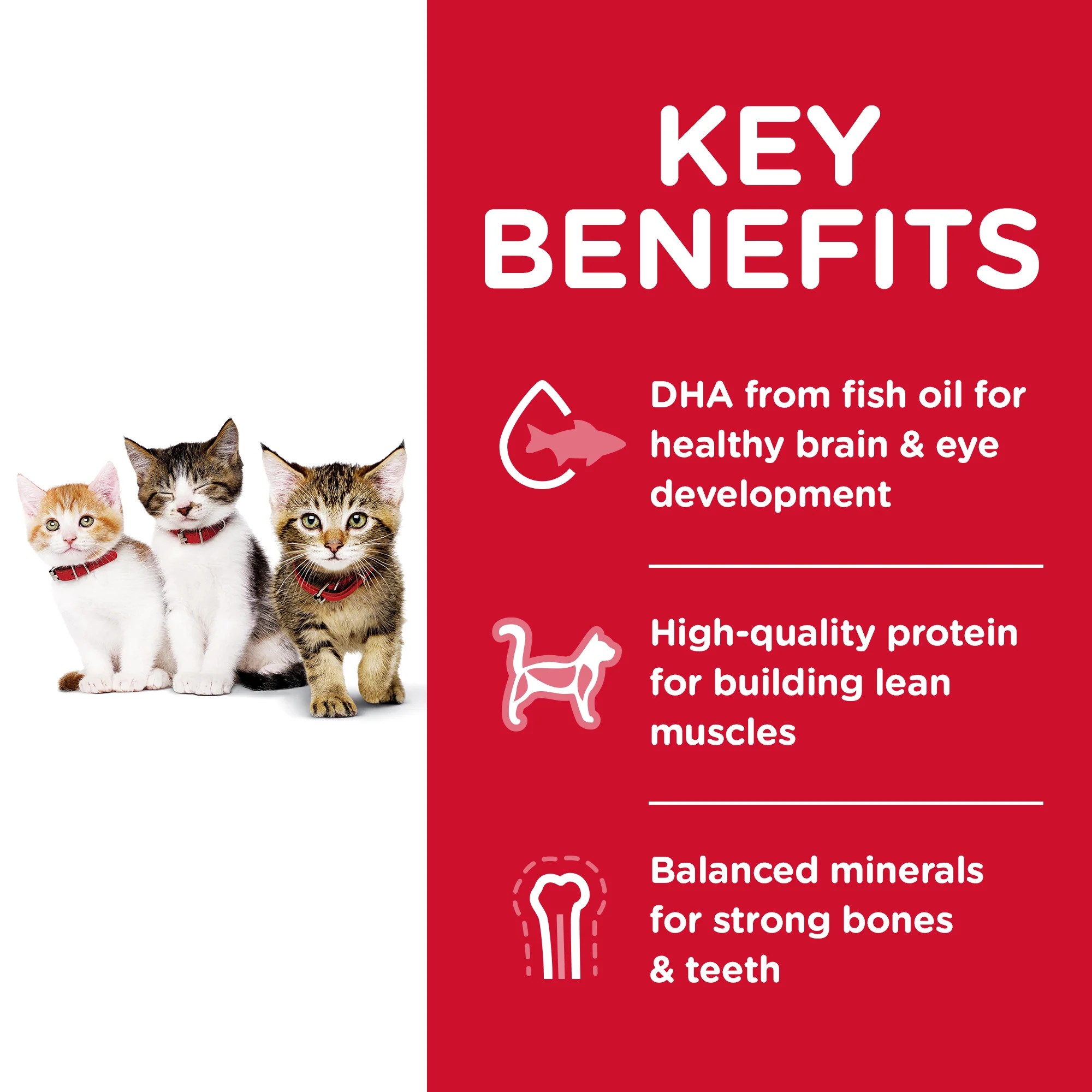 Hills Science Diet Kitten Dry Food - Image 3
