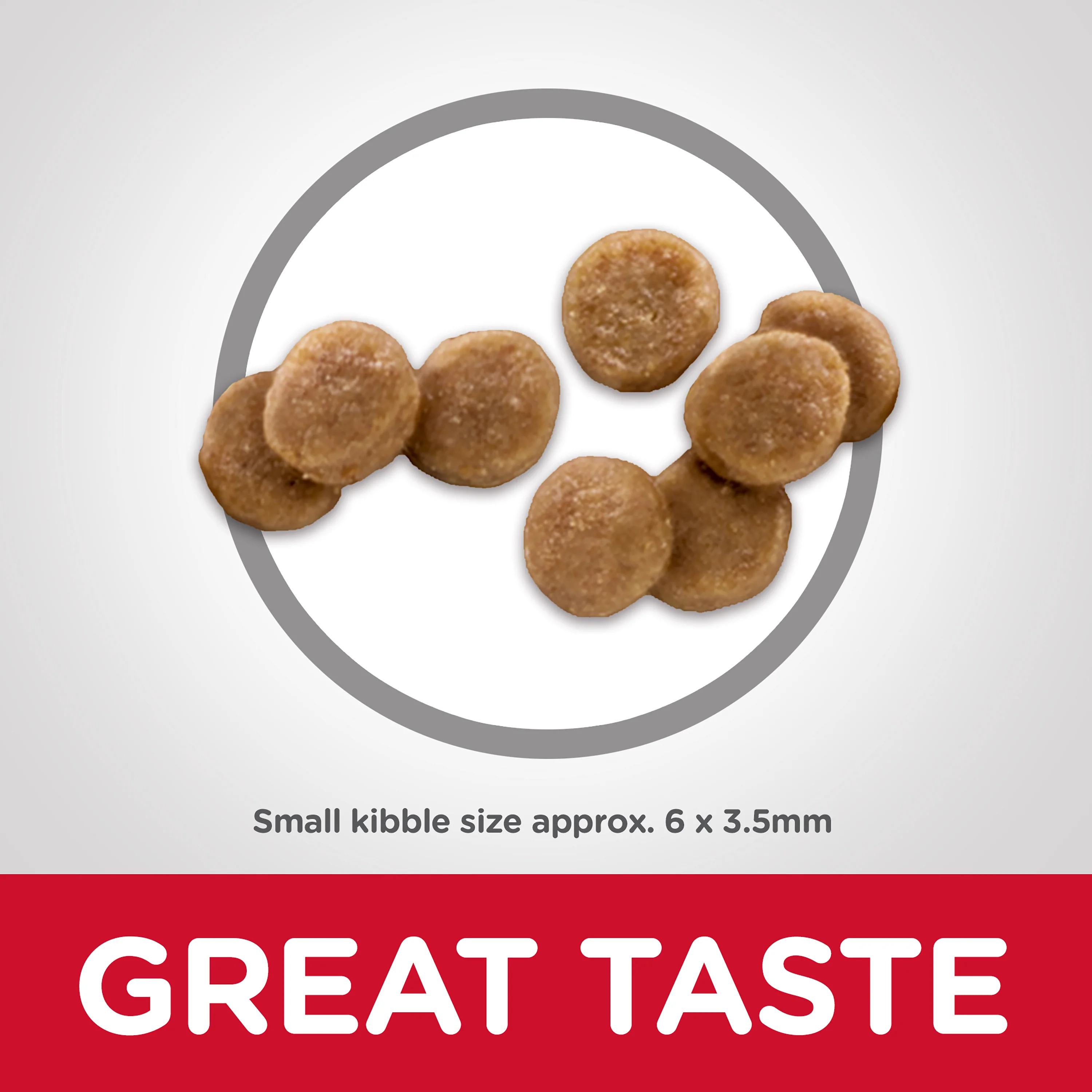 Hills Science Diet Kitten Dry Food - Image 5
