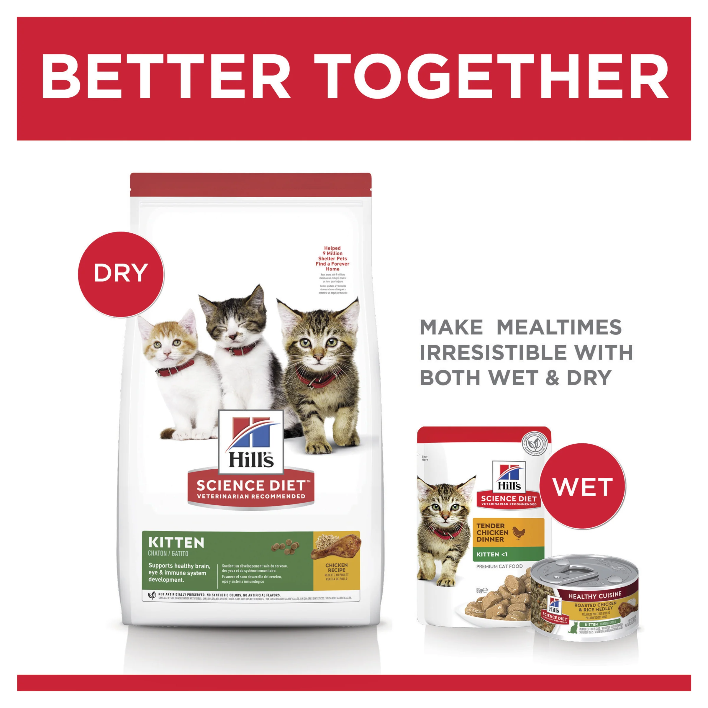 Hills Science Diet Kitten Dry Food - Image 8