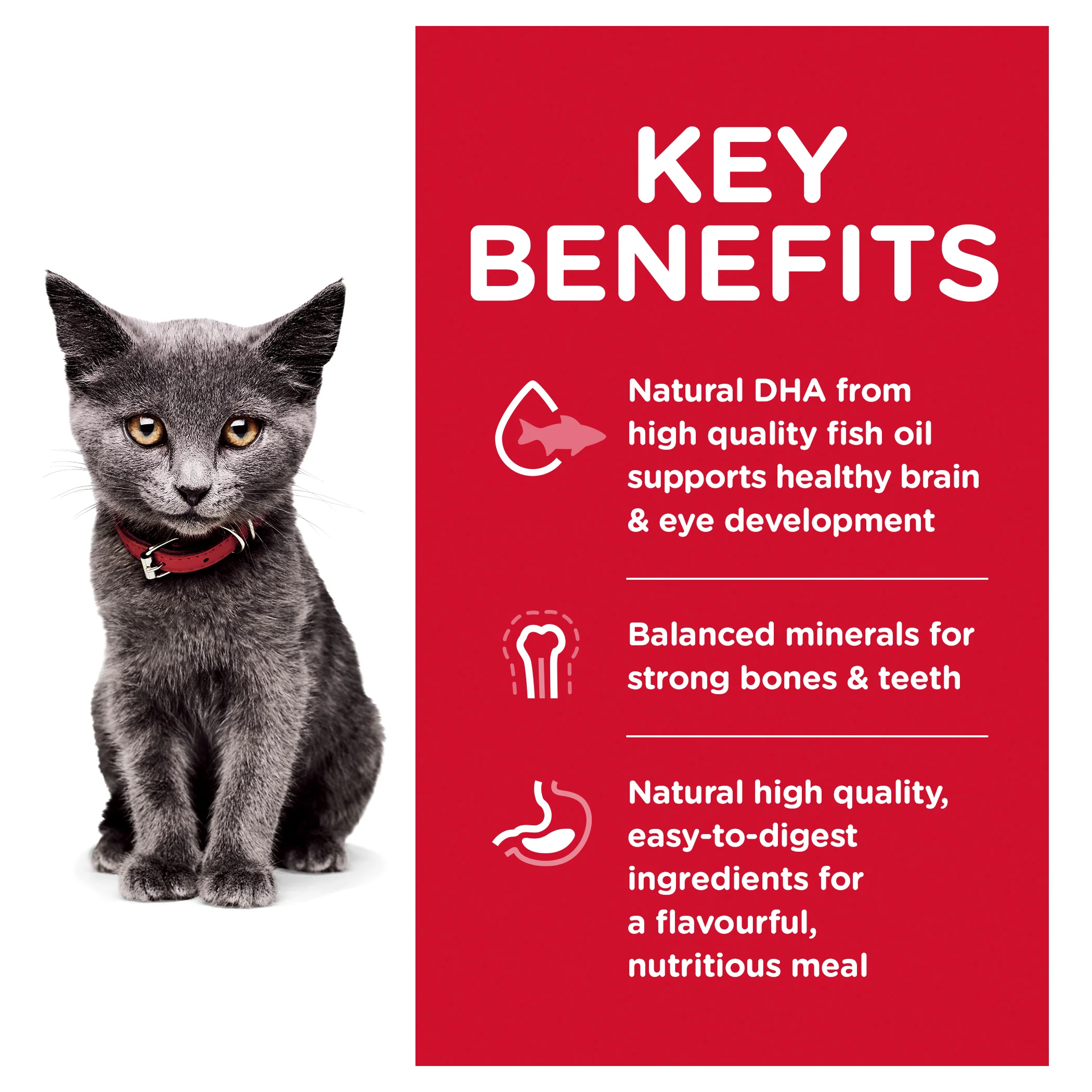 Hills Science Diet Kitten Indoor Dry Food - Image 3
