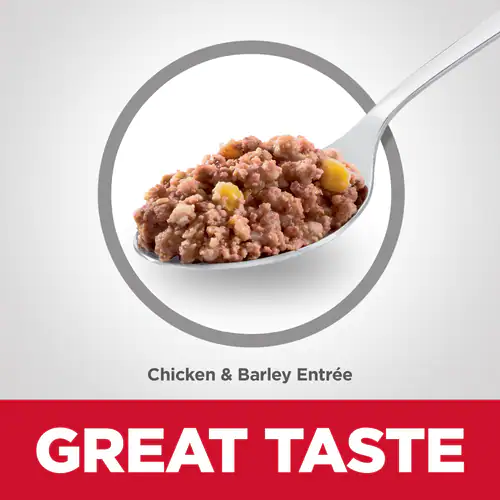 Hills Science Diet Puppy Chicken and Barley Wet Dog Food - Image 4