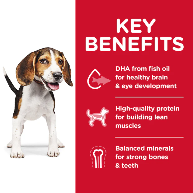 Hills Science Diet Puppy Dry Dog Food - Image 2