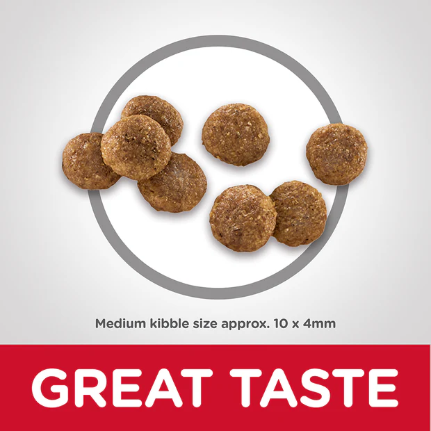 Hills Science Diet Puppy Dry Dog Food - Image 3