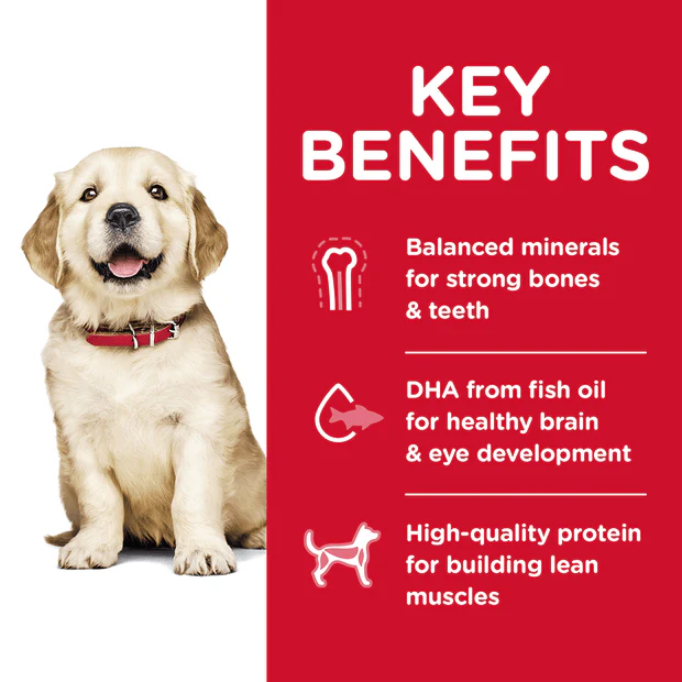 Hills Science Diet Puppy Large Breed Dry Dog Food - Image 2