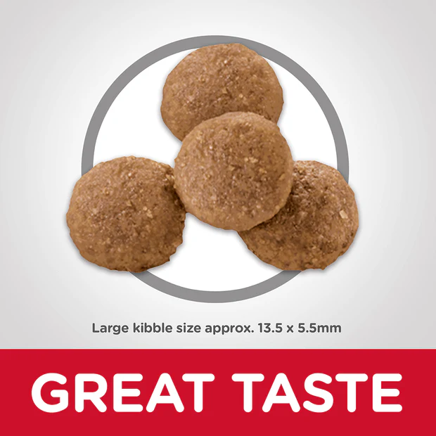 Hills Science Diet Puppy Large Breed Dry Dog Food - Image 3