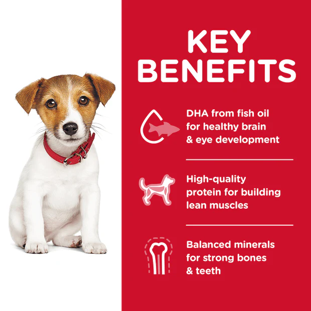 Hills Science Diet Puppy Small Bites Dry Dog Food - Image 2