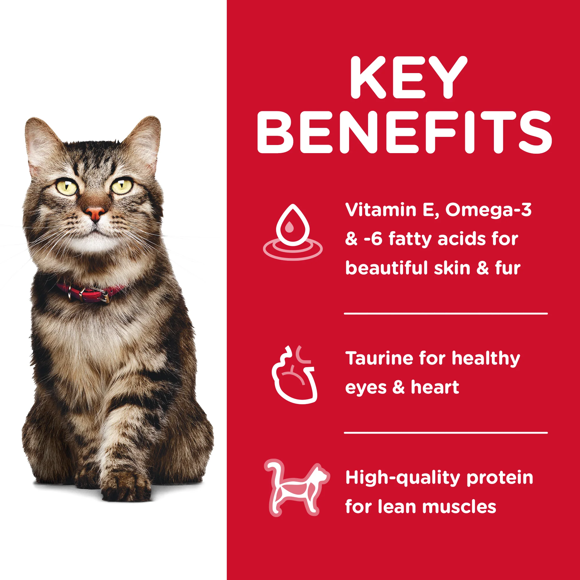 Hills Science Diet Specialty Adult Cat 7+ Hairball Control Dry Food - Image 3