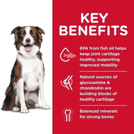 Hills Science Diet Adult Large Breed Healthy Mobility Dry Dog Food - Image 2