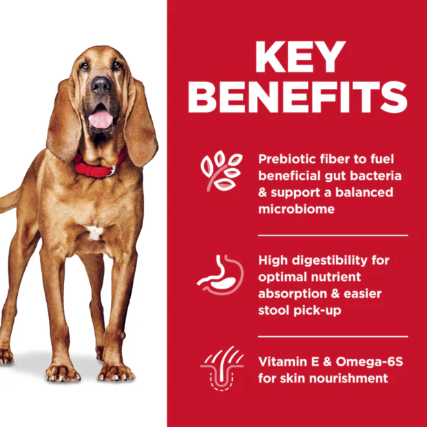 Hills Science Diet Adult Large Breed Sensitive Stomach and Skin Dry Dog Food - Image 2