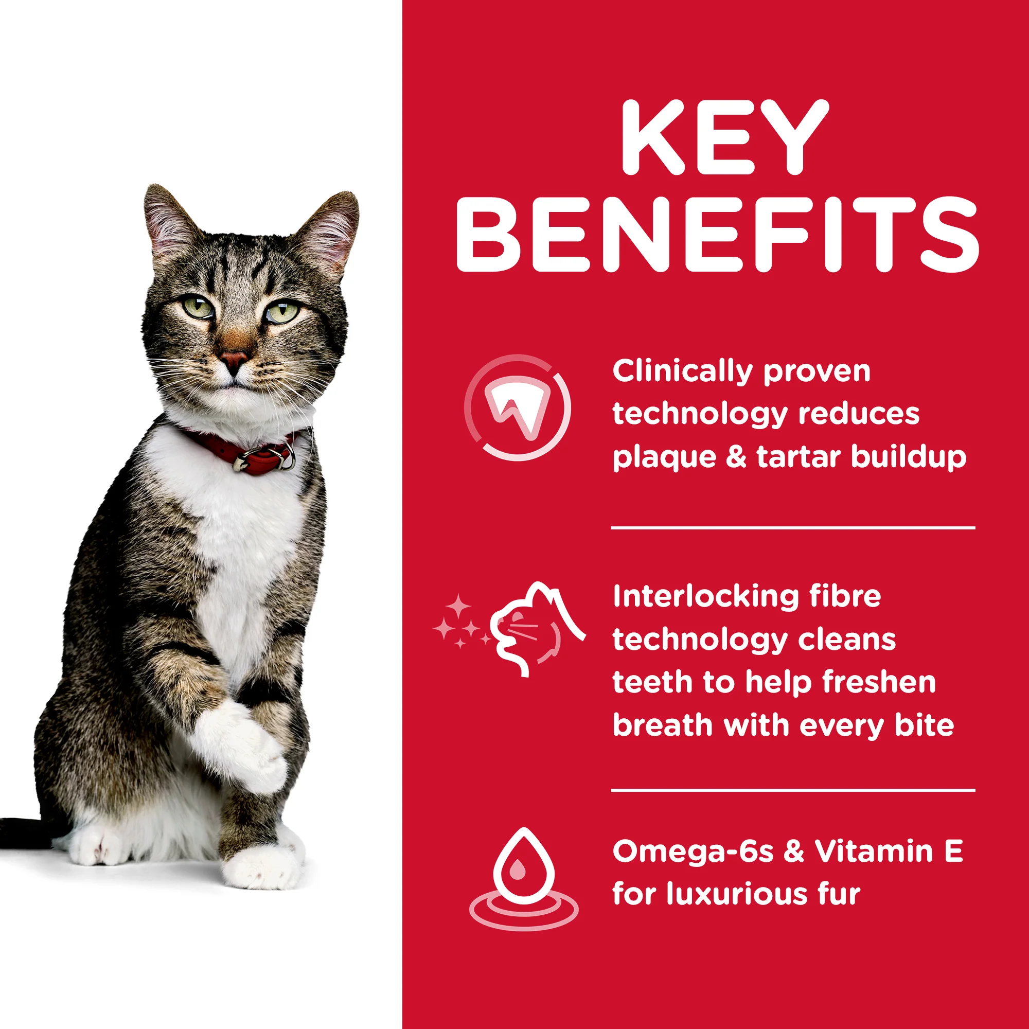 Hills Science Diet Specialty Adult Cat Oral Care Dry Food - Image 3