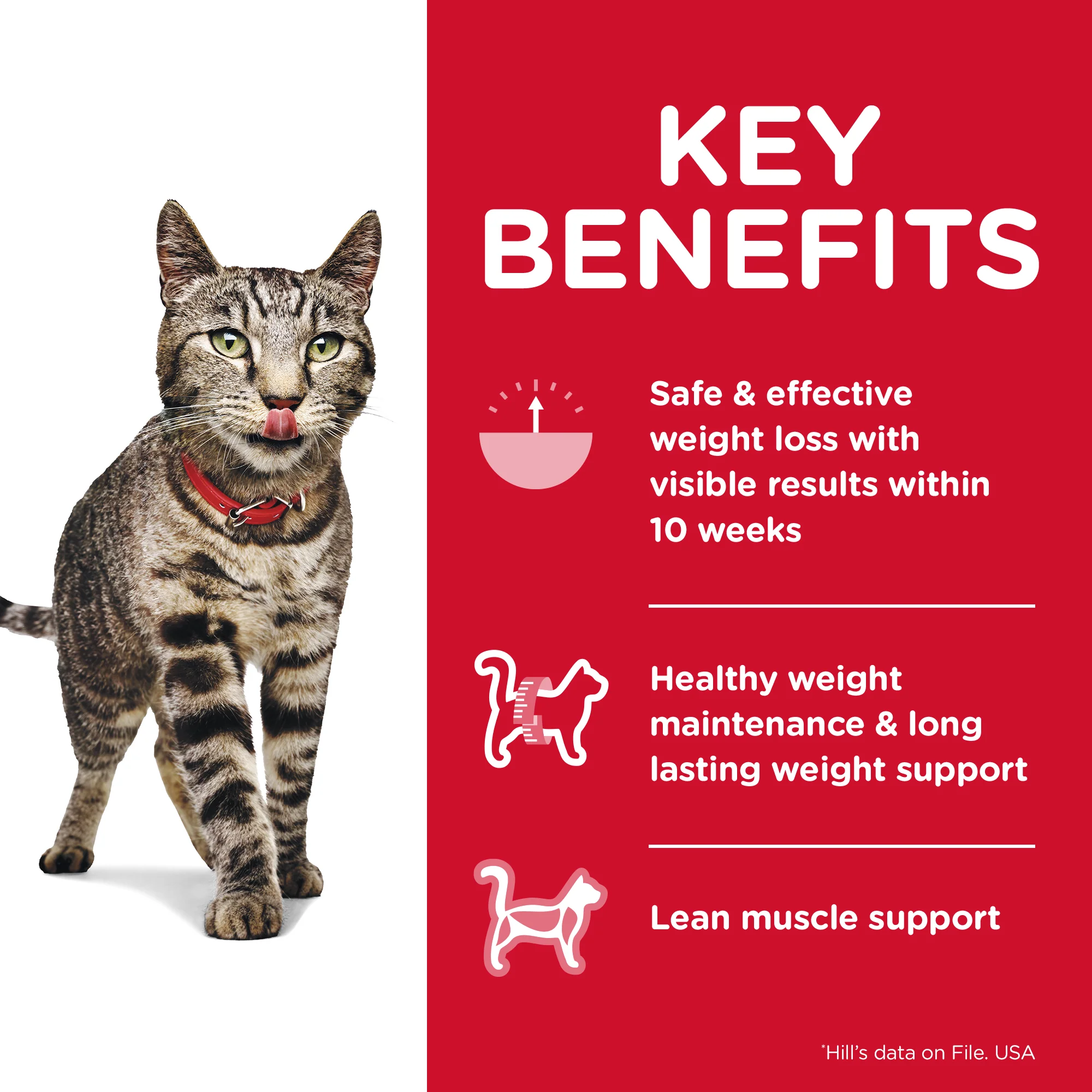 Hills Science Diet Specialty Adult Cat Perfect Weight Dry Food - Image 3