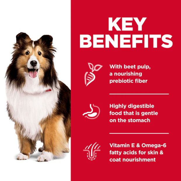 Hills Science Diet Adult Sensitive Stomach and Skin Dry Dog Food - Image 2