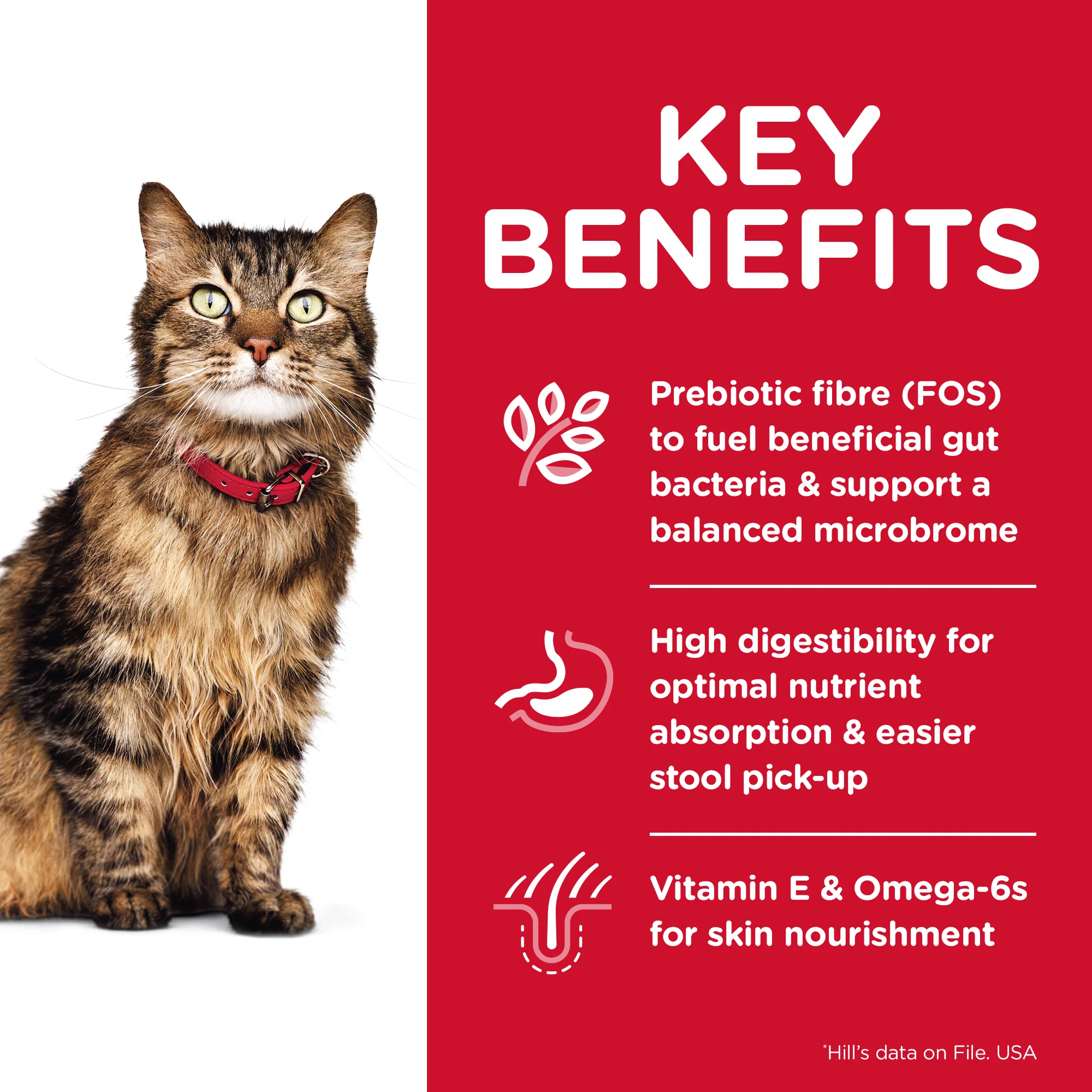 Hills Science Diet Specialty Adult Cat Sensitive Stomach and Skin Dry Food - Image 3