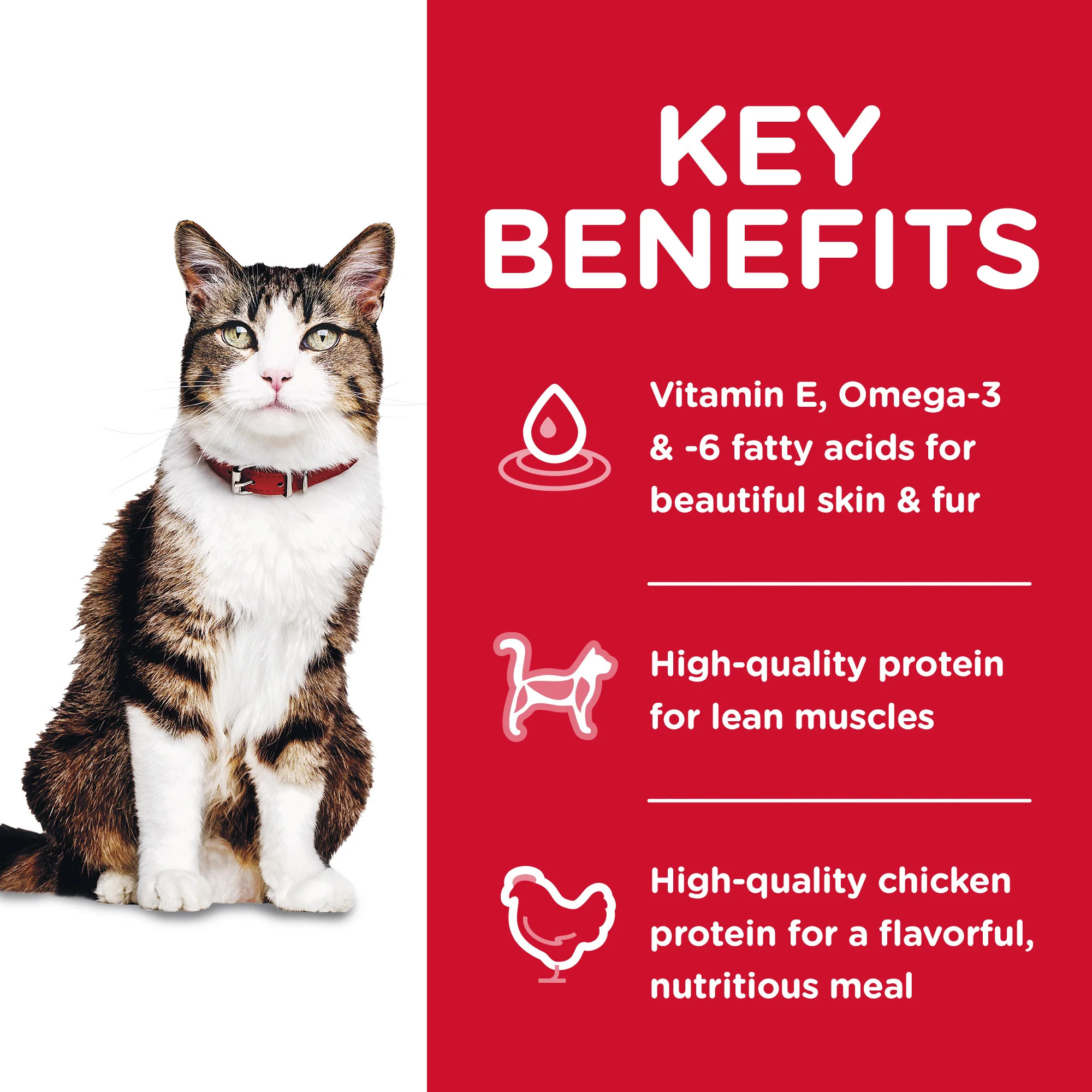 Hills Science Diet Specialty Adult Cat Urinary Hairball Control Dry Food - Image 3