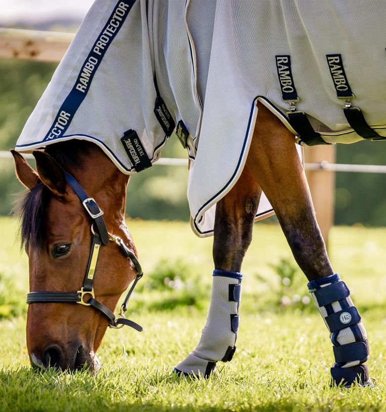 Horseware Fly Boots - Image 4
