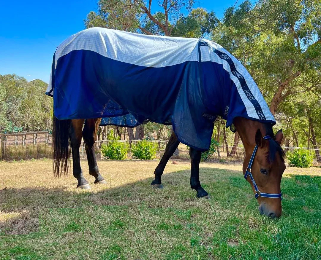 Horseware Ireland Amigo Helix Airflow Disc Front - Image 4