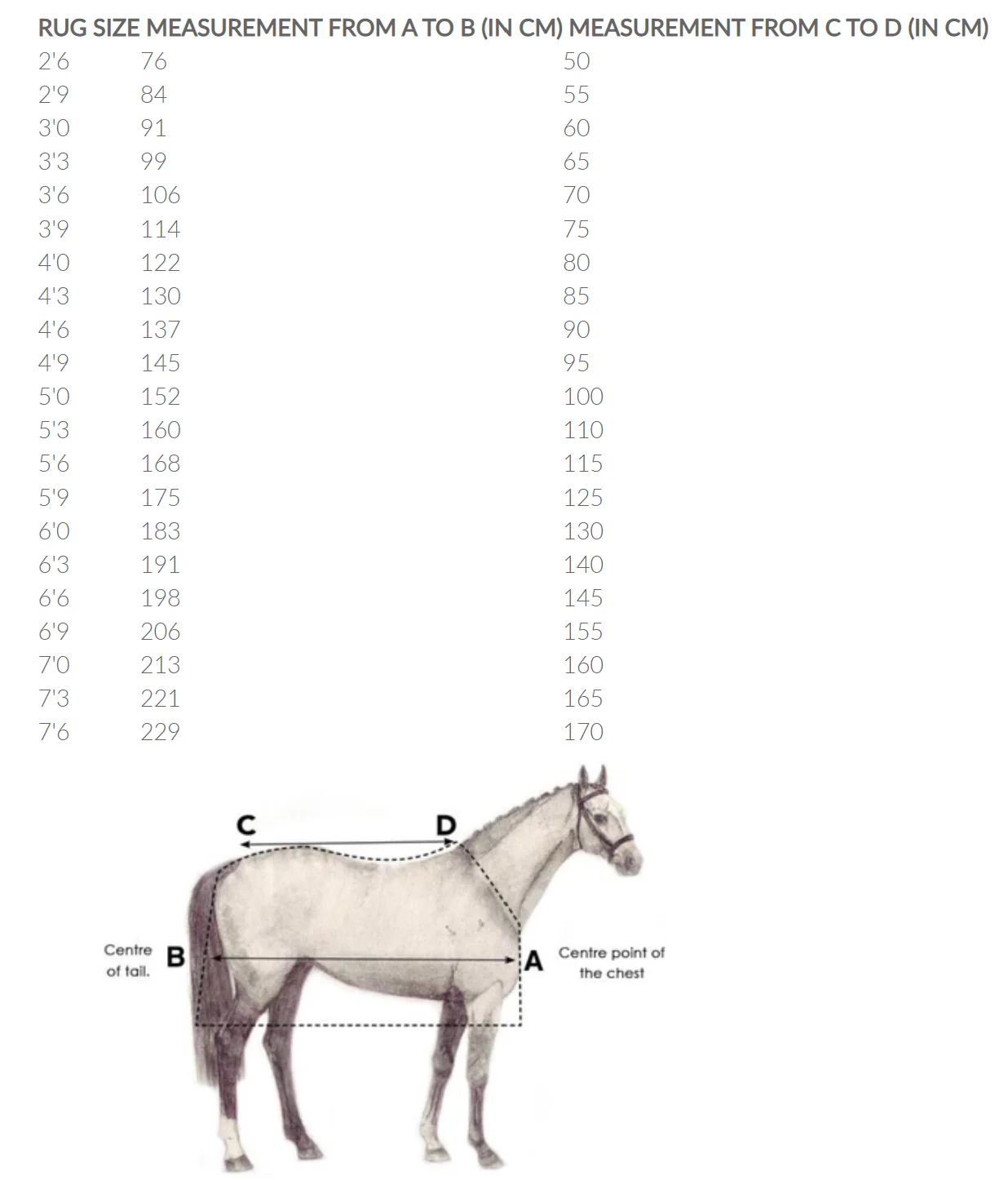 Horseware Ireland Amigo Helix Airflow Disc Front - Image 5