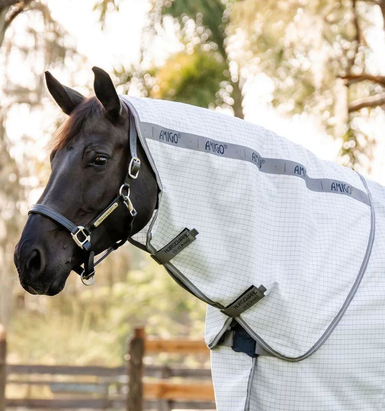 Horseware Ireland Amigo Summer Sheet Plus - Image 2