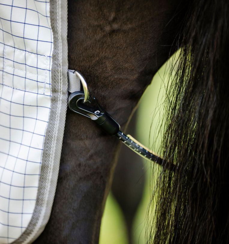Horseware Ireland Amigo Summer Sheet Plus - Image 5