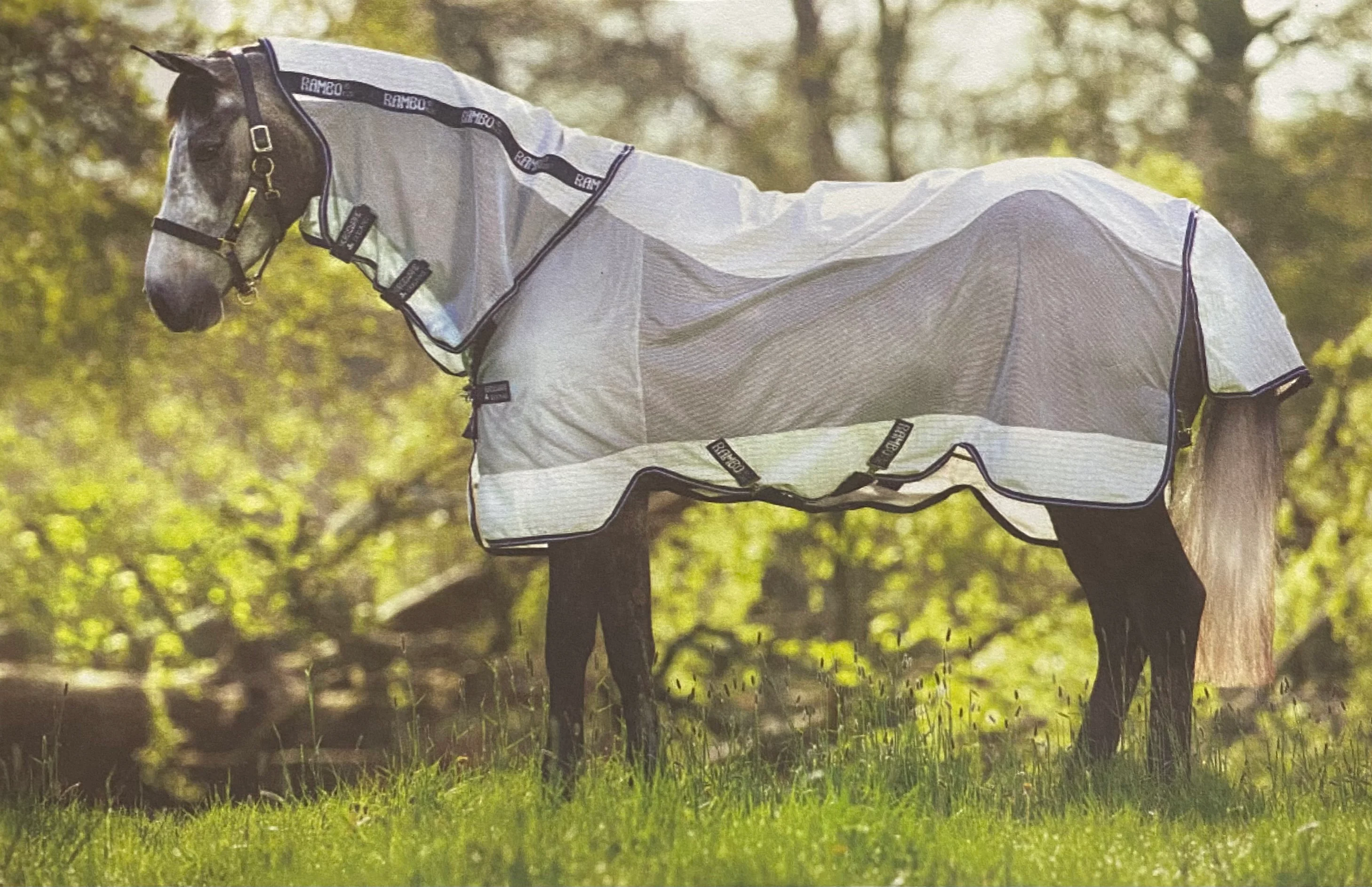 Horseware Ireland Rambo Airflow - Image 2