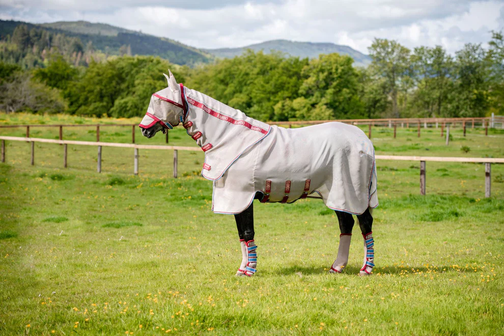 Horseware Ireland Rambo Airmesh Fly Boot - Image 2