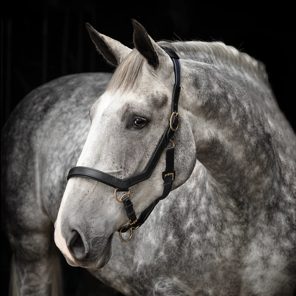 Horseware Ireland Rambo Micklem Headcollar - Image 2
