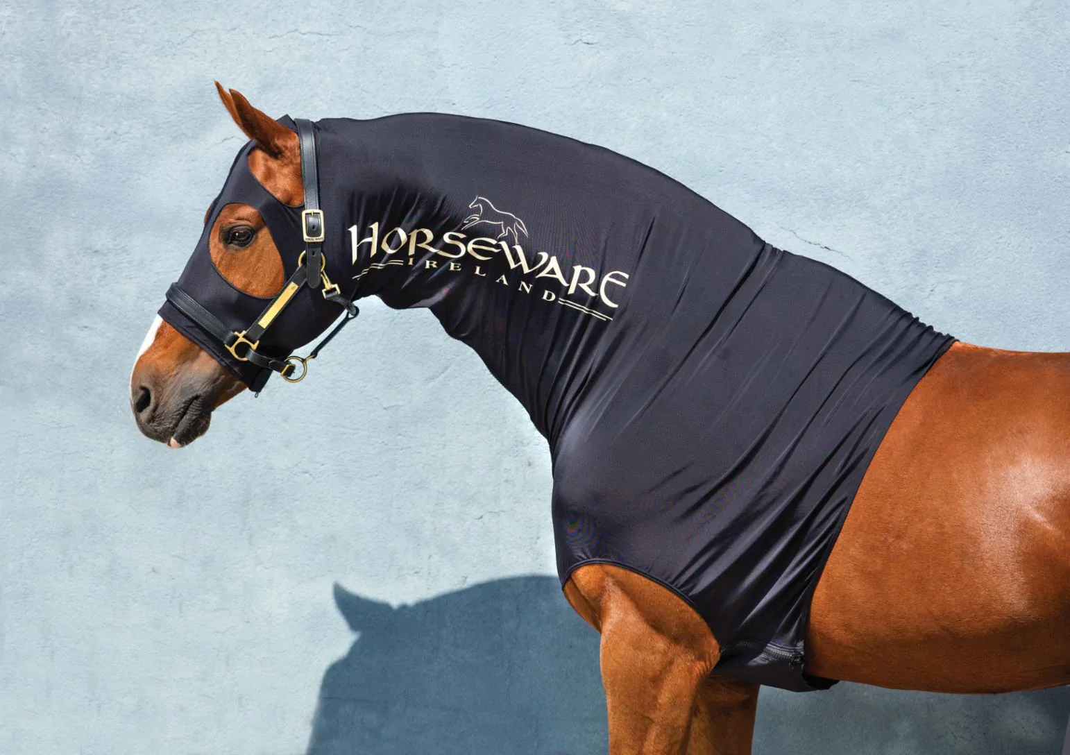 Horseware Ireland Rambo Slinky Hood - Image 2