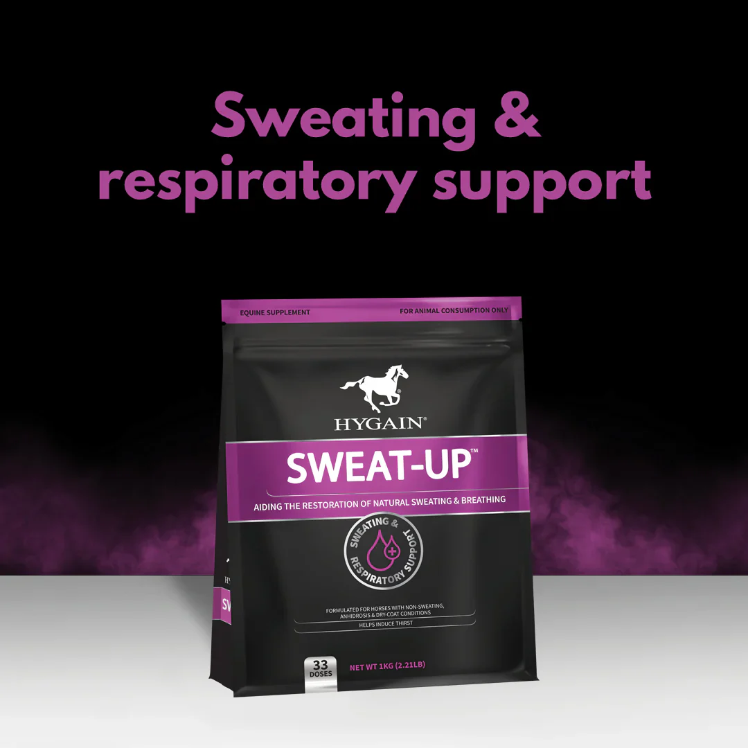 Hygain Sweat-Up - Image 3