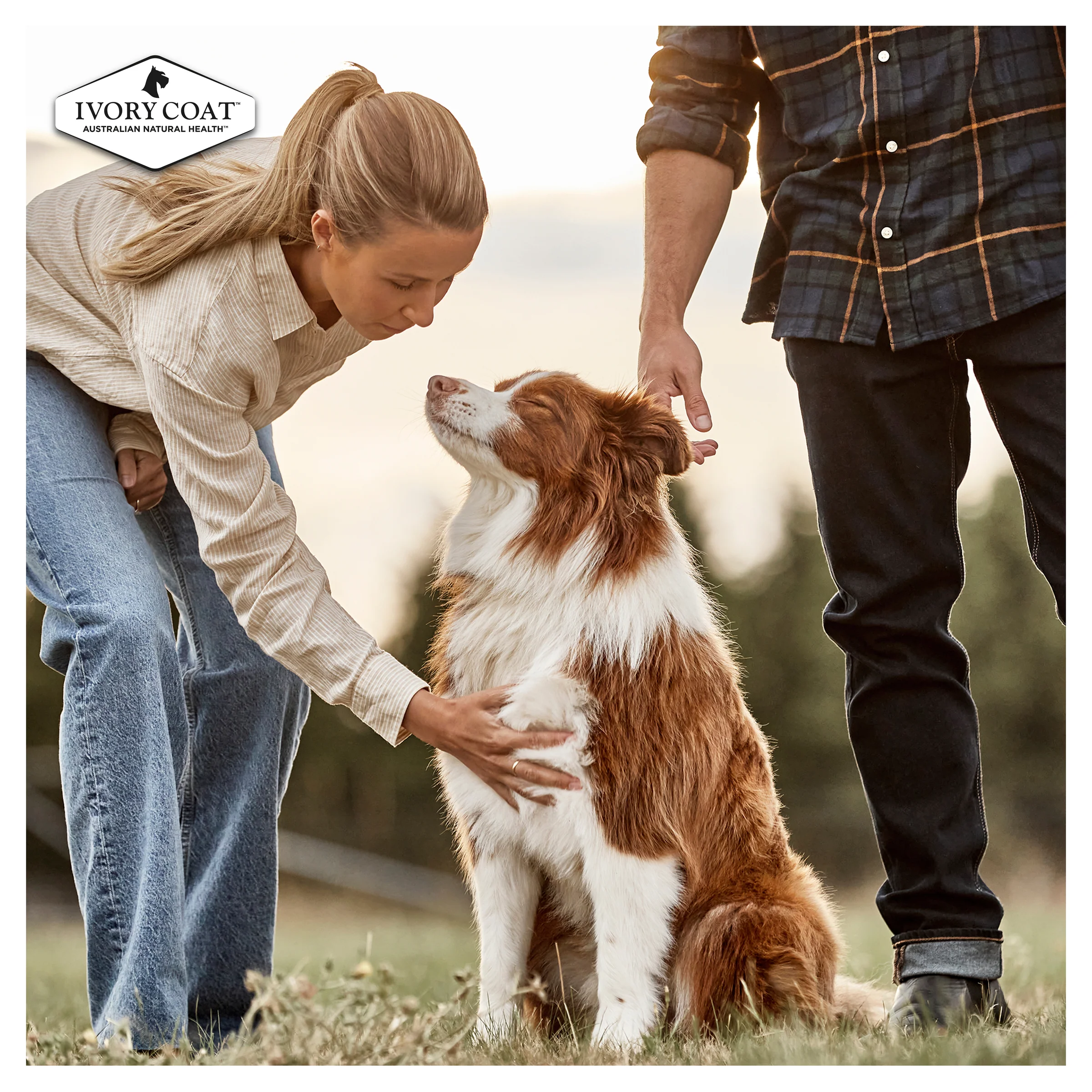 Ivory Coat Grain Free Adult Chicken with Coconut Oil Dry Dog Food - Image 10
