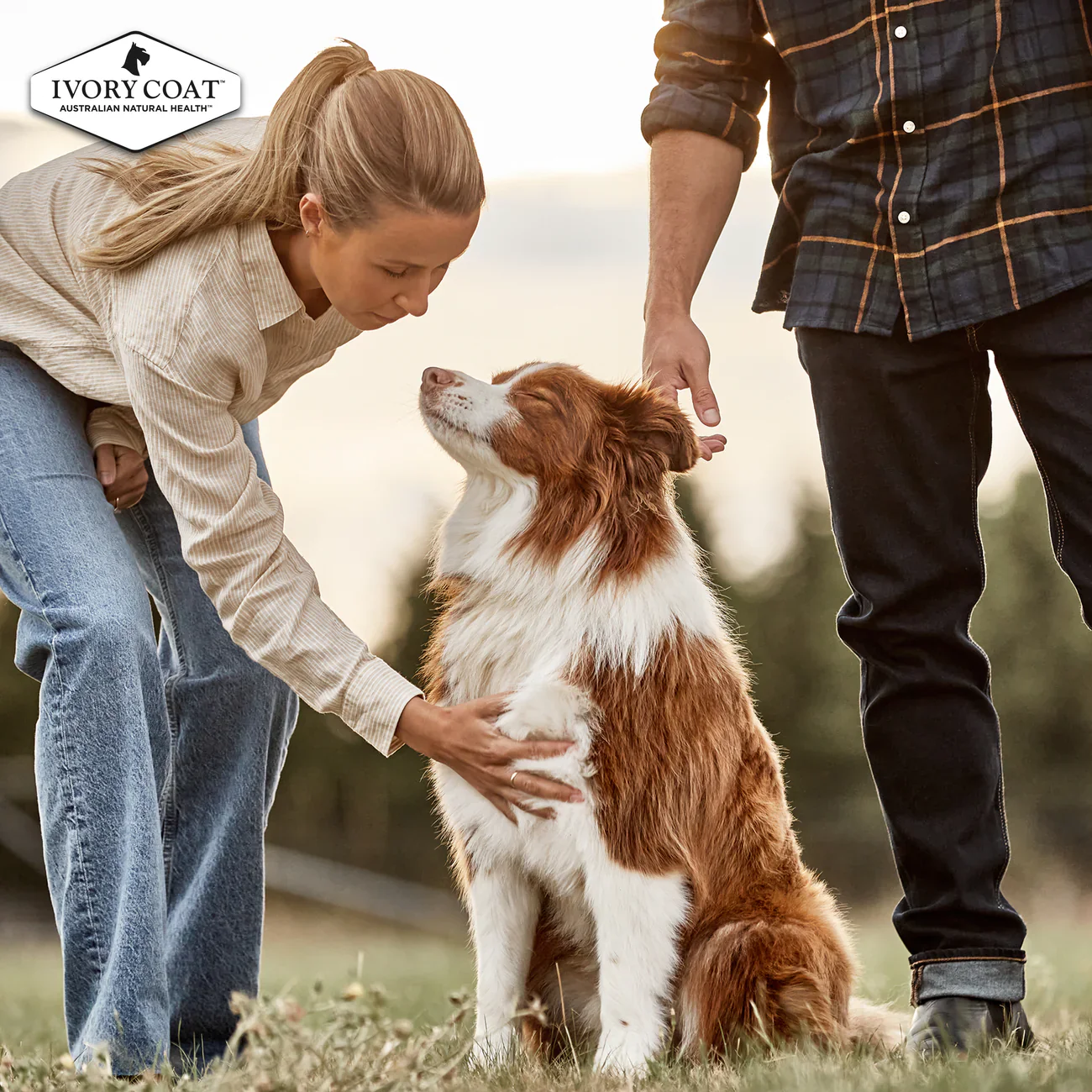 Ivory Coat Grain Free Adult Lamb And Kangaroo Dry Dog Food - Image 11