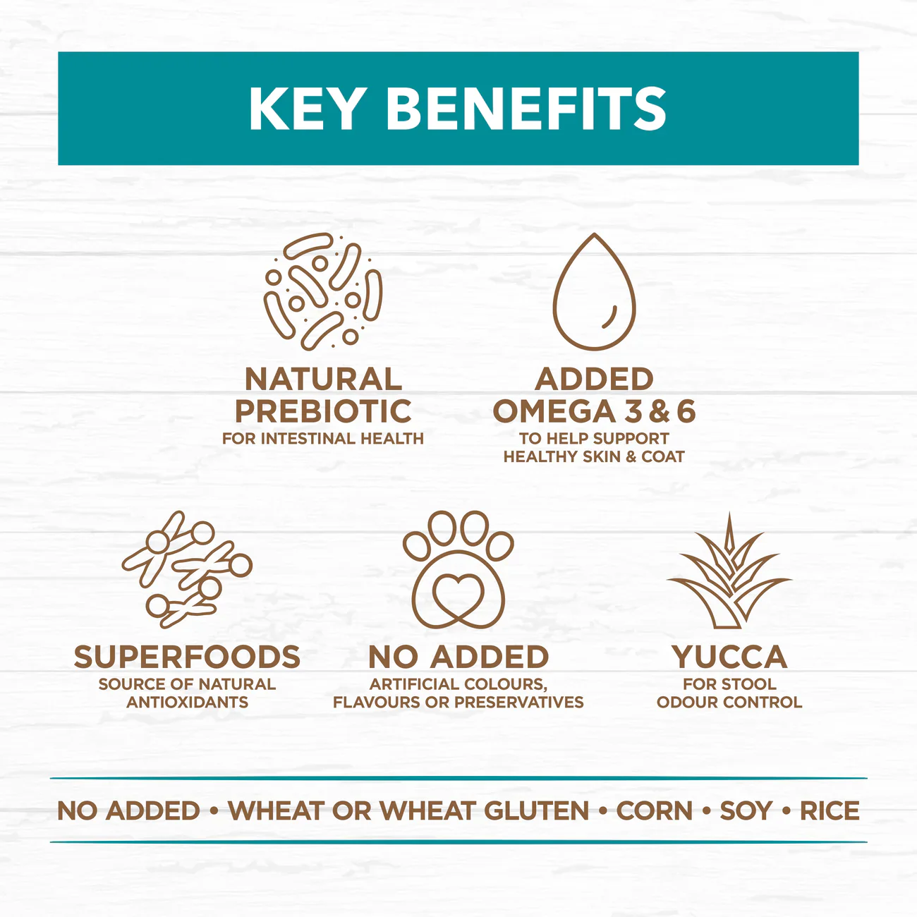 Ivory Coat Grain Free Adult Ocean Fish and Salmon Dry Dog Food - Image 3