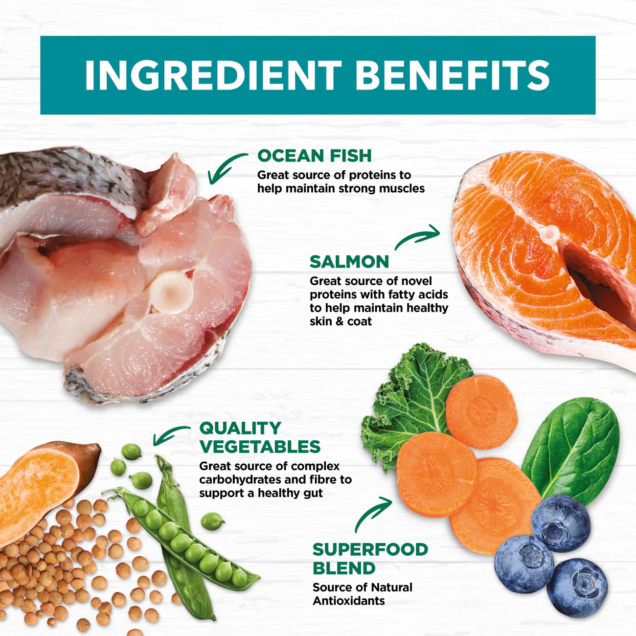 Ivory Coat Grain Free Adult Ocean Fish and Salmon Dry Dog Food - Image 4