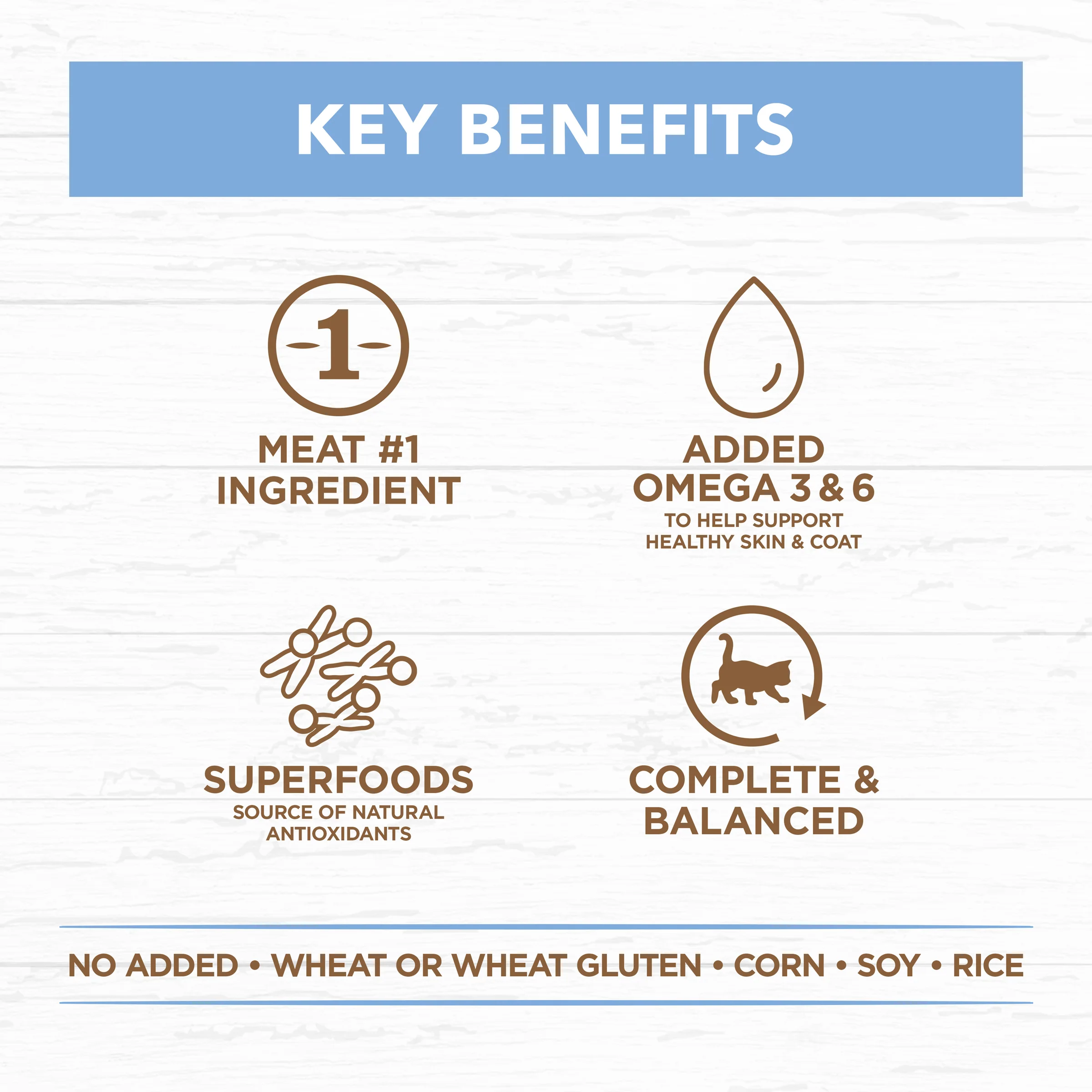 Ivory Coat Grain Free Kitten Chicken and Ocean Fish in Jelly Wet Cat Food - Image 3