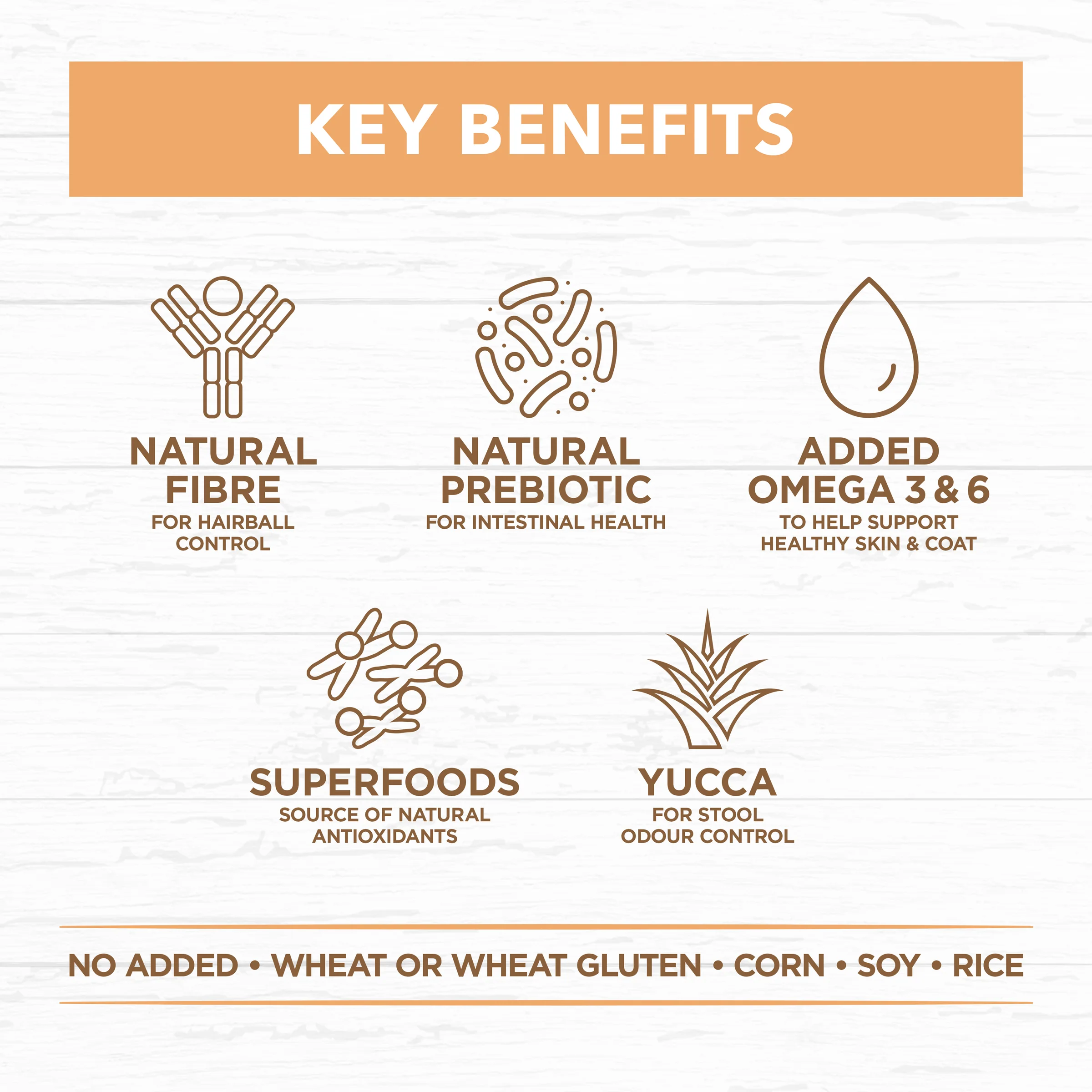 Ivory Coat Grain Free Kitten Chicken Dry Food - Image 3