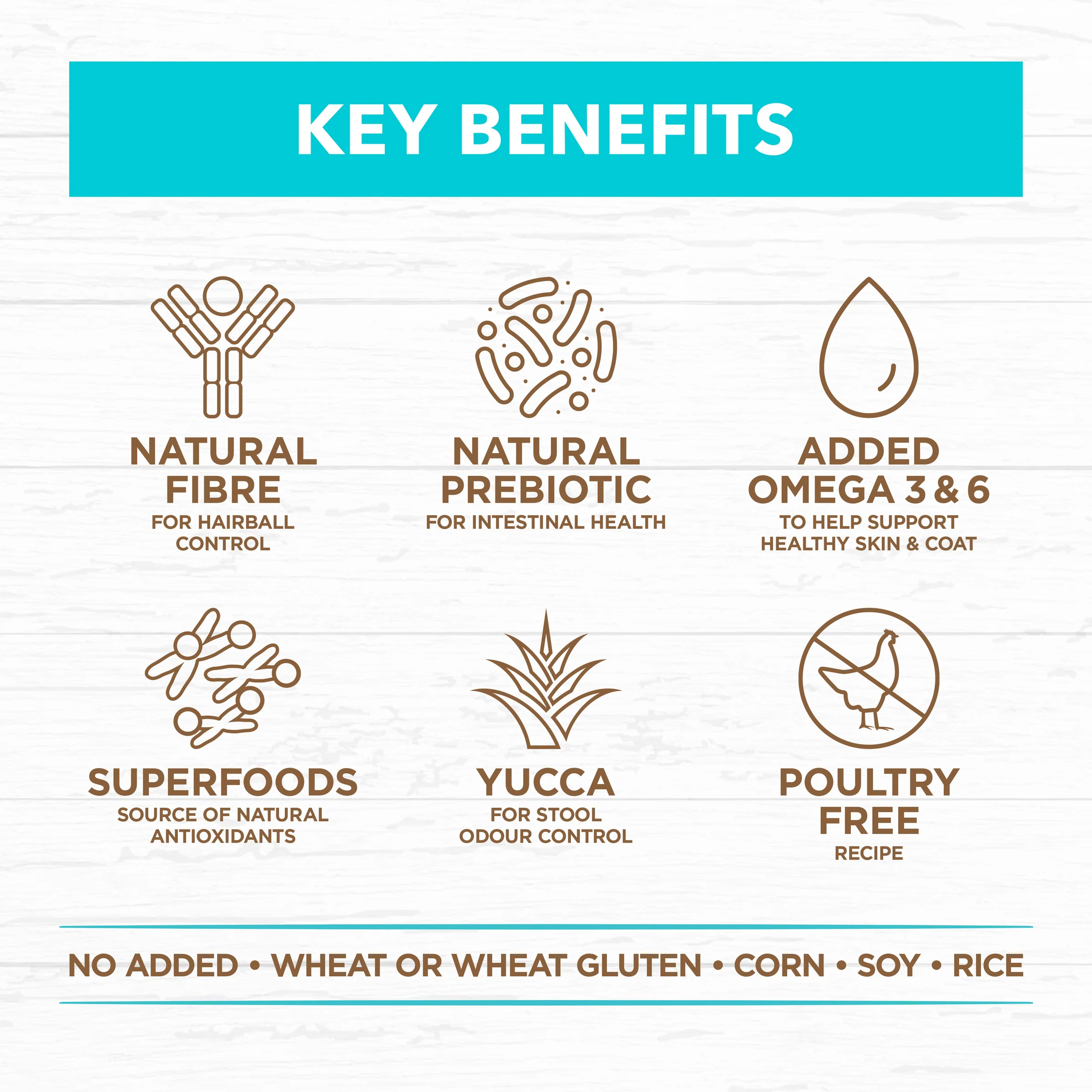 Ivory Coat Grain Free Kitten Ocean Fish and Salmon Dry Food - Image 3