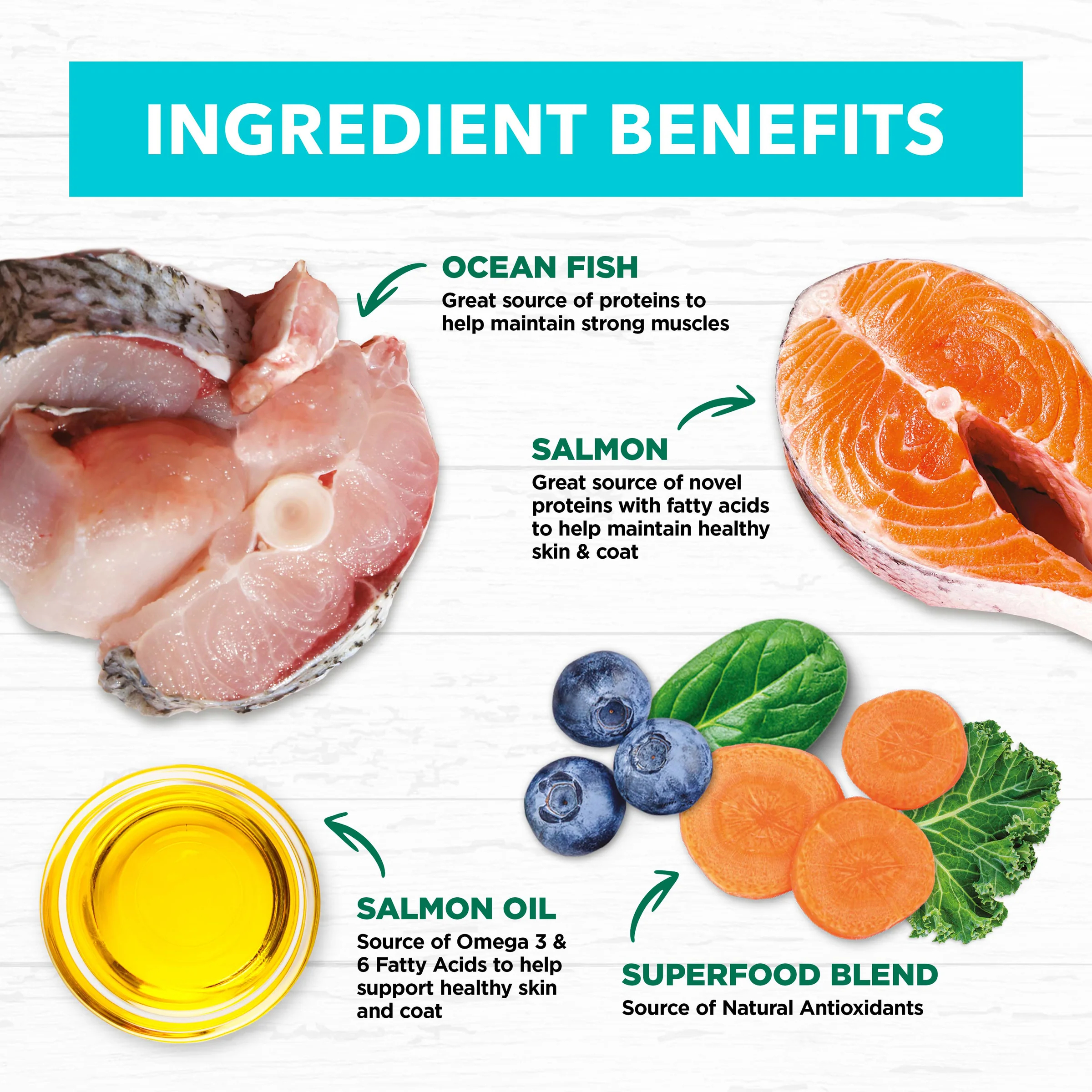 Ivory Coat Grain Free Kitten Ocean Fish and Salmon Dry Food - Image 4