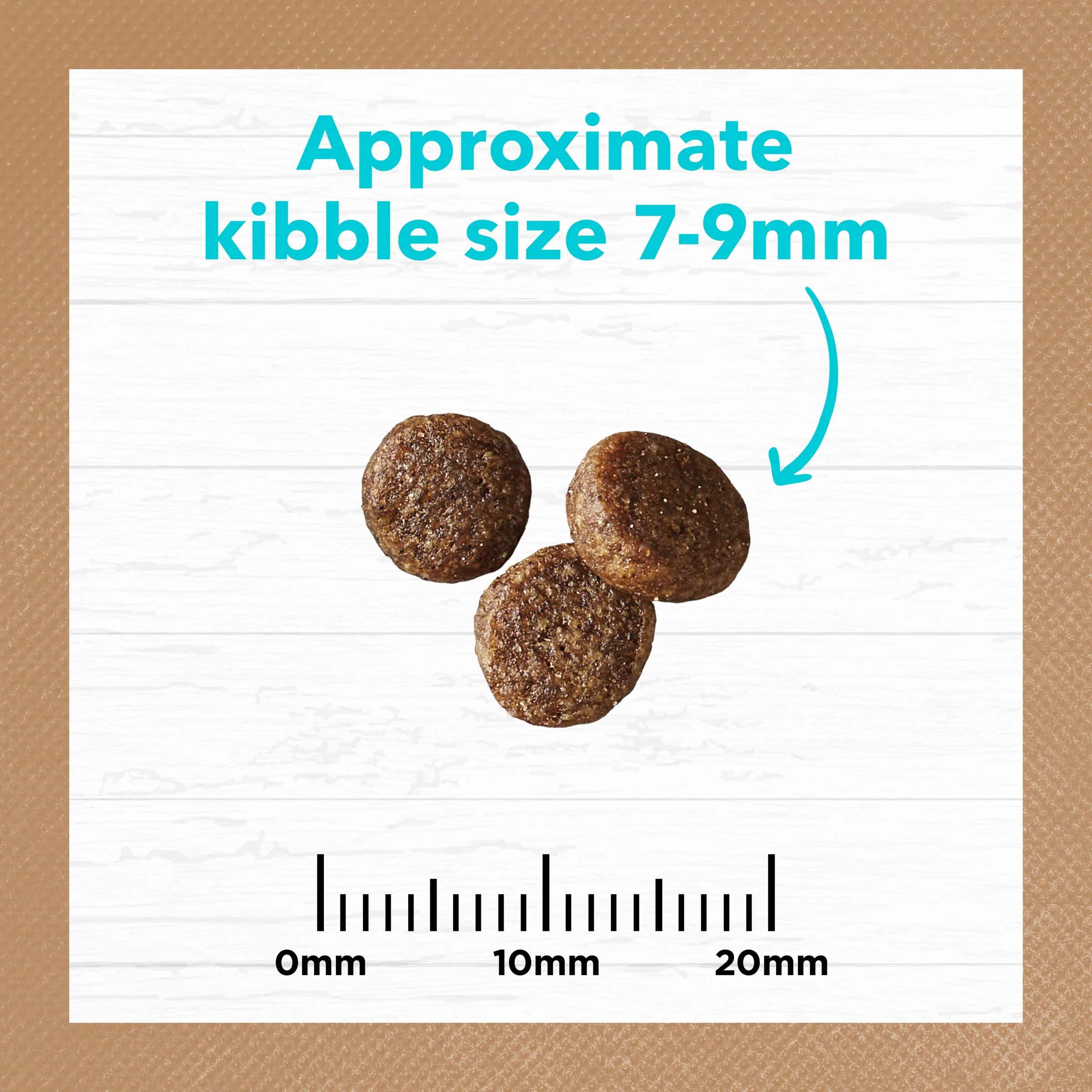 Ivory Coat Grain Free Kitten Ocean Fish and Salmon Dry Food - Image 5