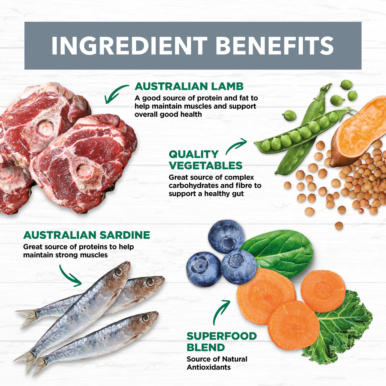 Ivory Coat Grain Free Lamb and Sardine Wet Dog Food - Image 5