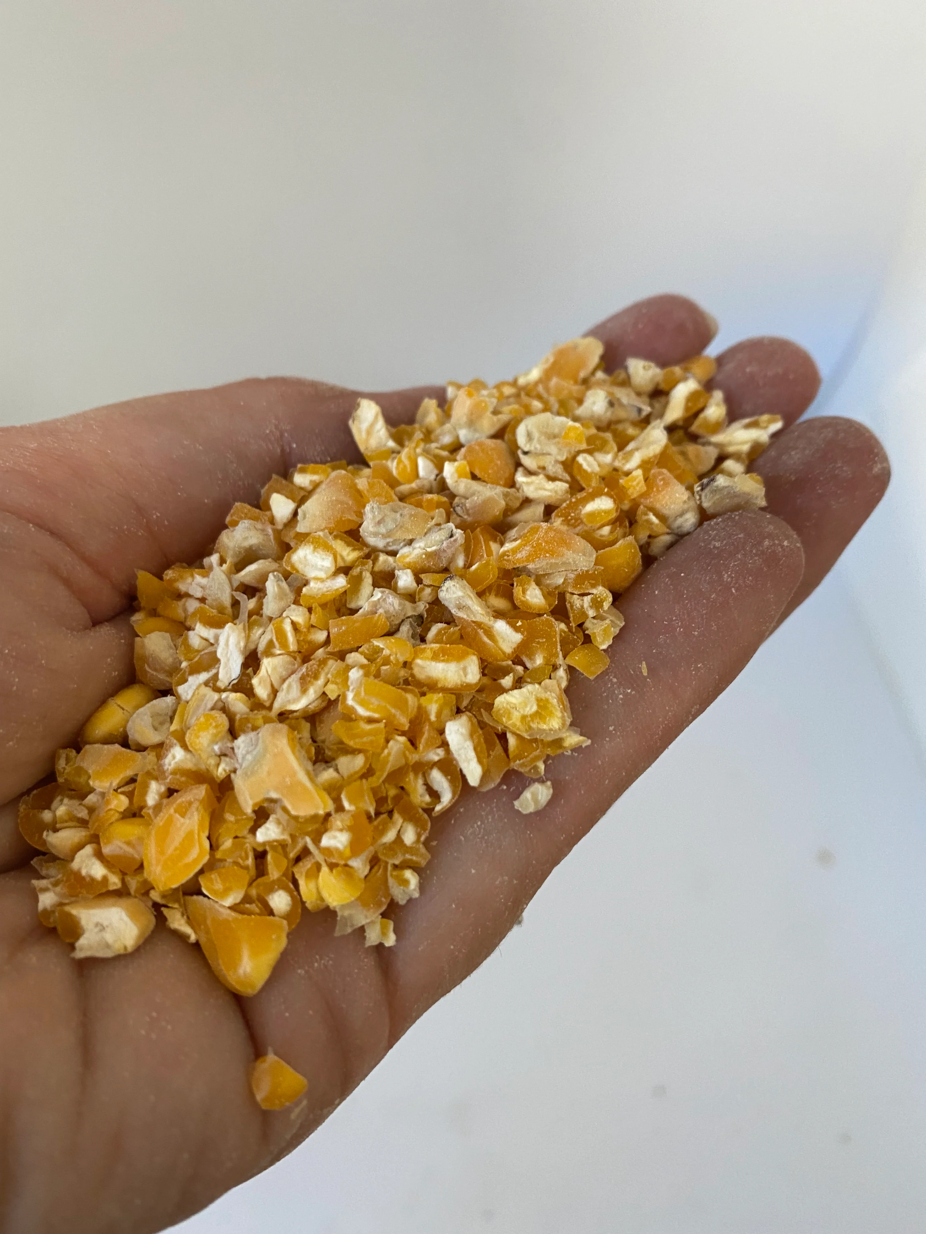 Jenco Maize/Corn Cracked - Image 3