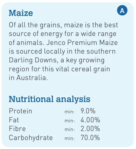 Jenco Maize/Corn Whole - Image 2