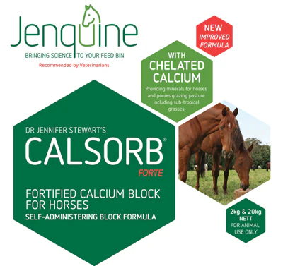 Jenquine Calsorb Forte - Image 2