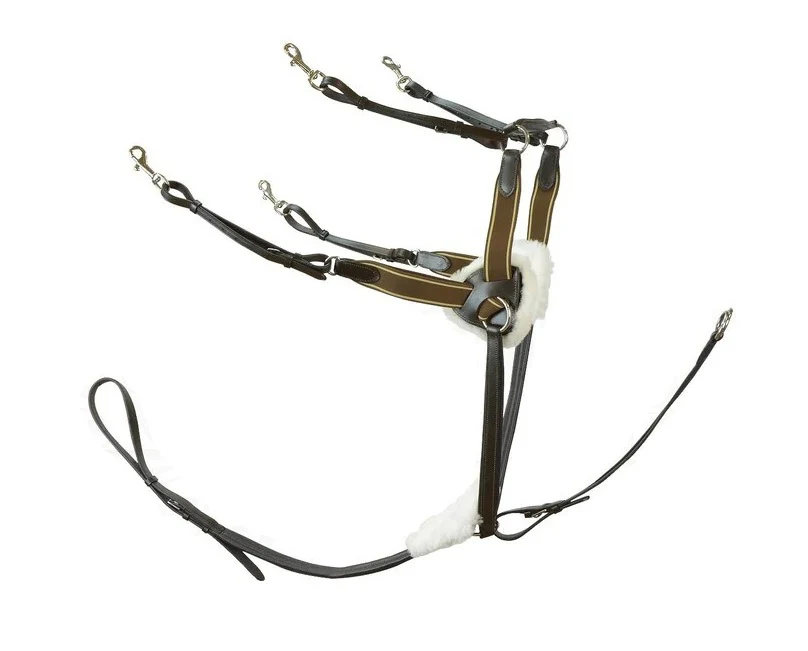 Jeremy and Lord Five Point Breastplate - Image 3