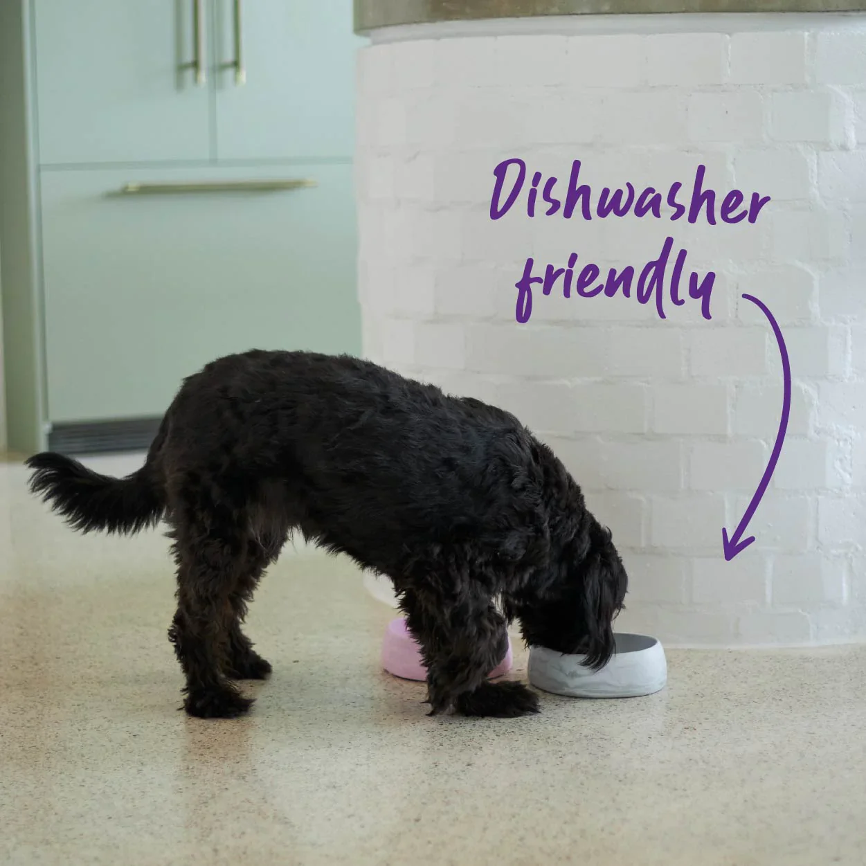Kazoo Better Bowl for Dogs - Image 3