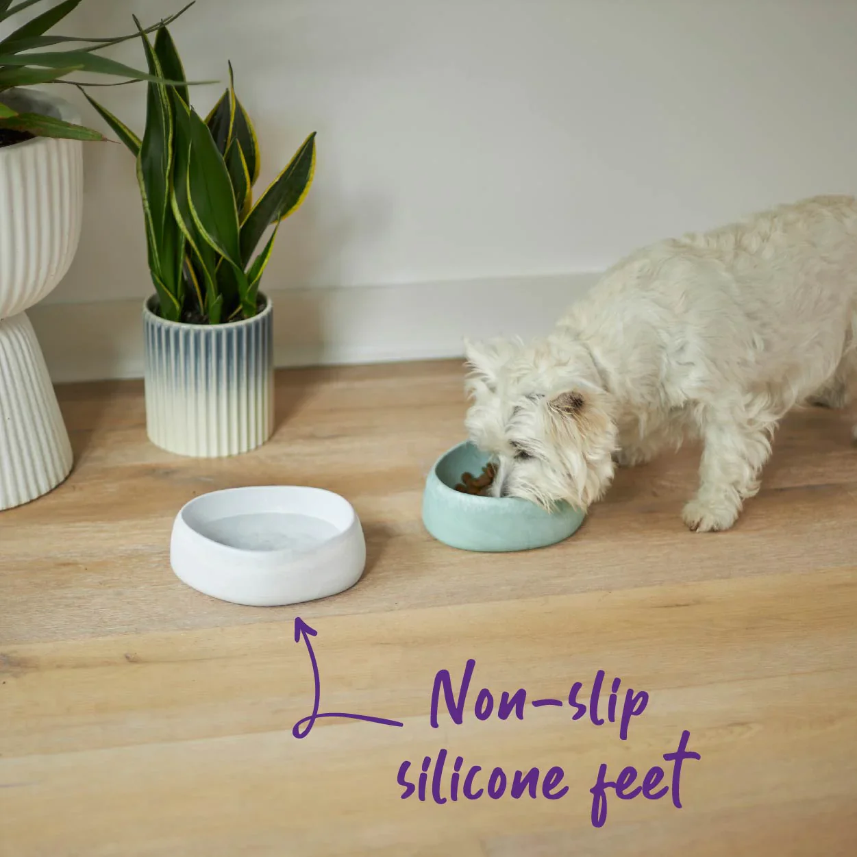 Kazoo Better Bowl for Dogs - Image 6