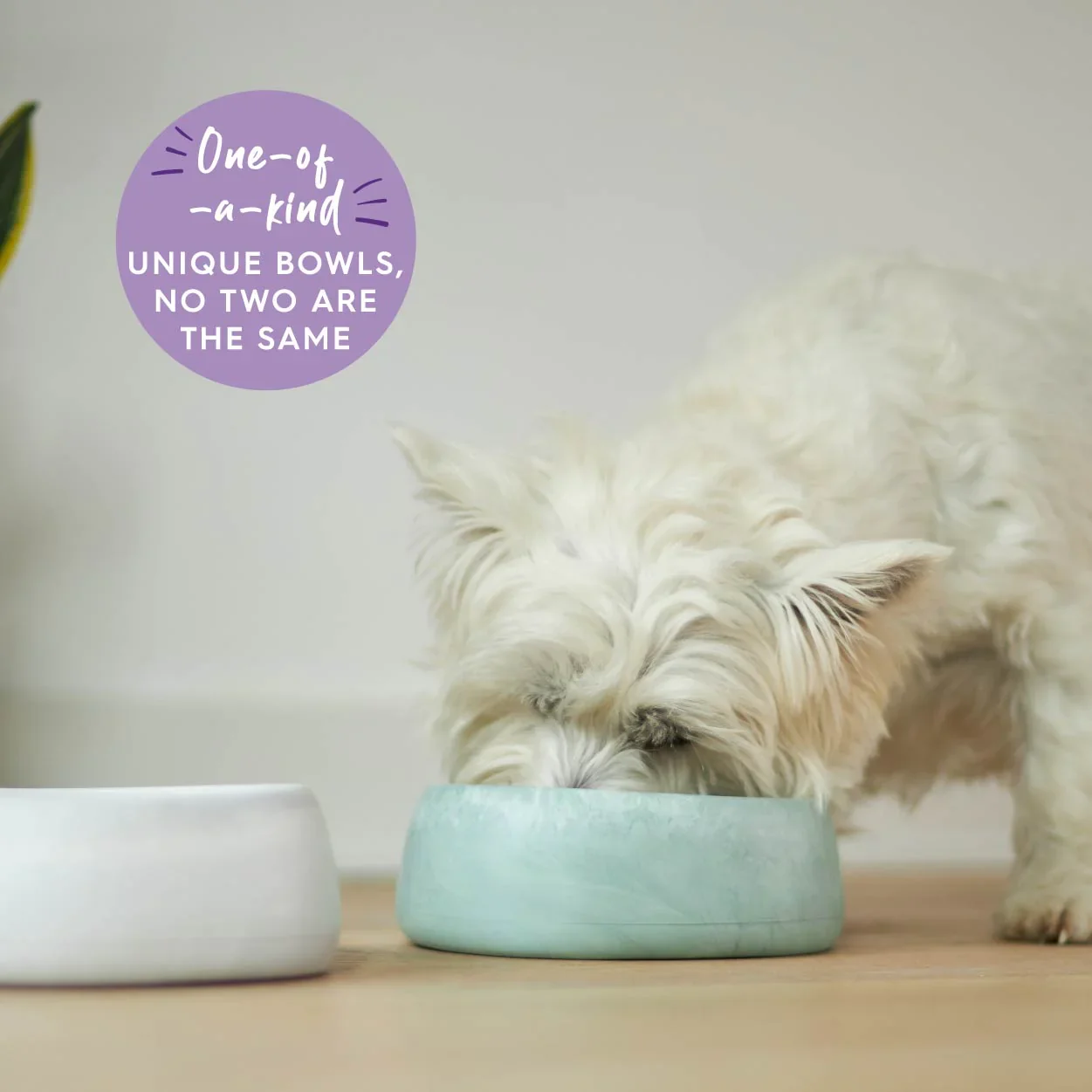 Kazoo Better Bowl for Dogs - Image 7