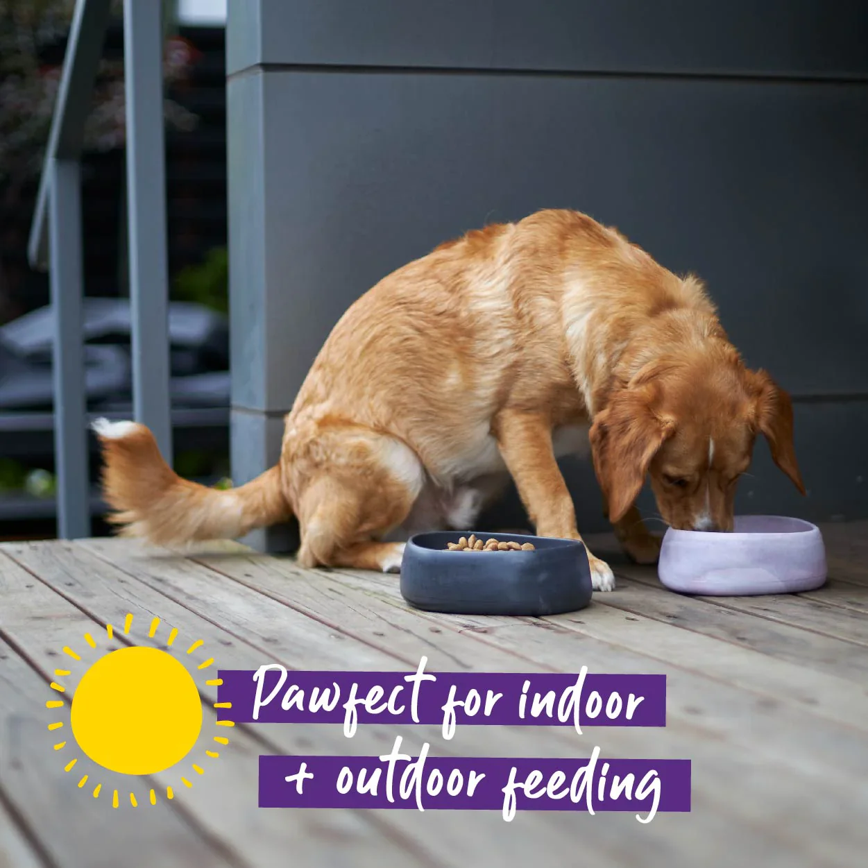 Kazoo Better Bowl for Dogs - Image 8